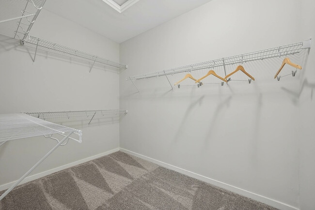 Primary Bedroom Walk-in Closet