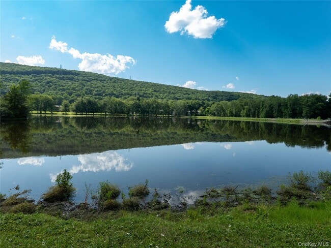 402 Mountain Laurel Dr