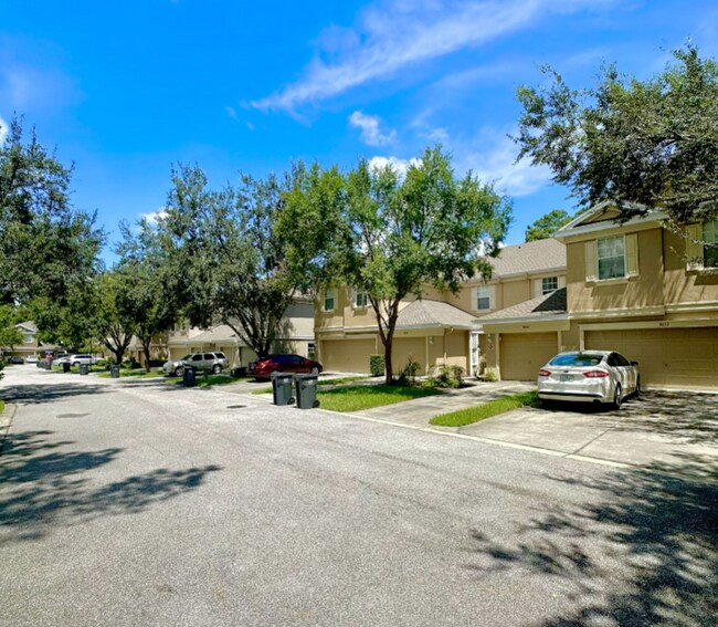 Photo - 9828 Fan Palm Way