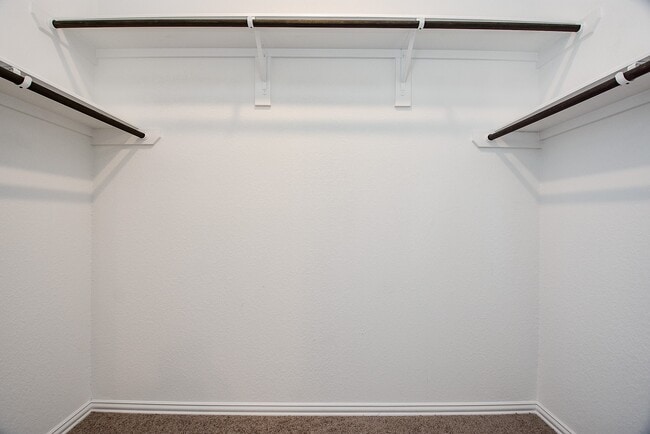 Building Photo - 31326 Black Frst Xing