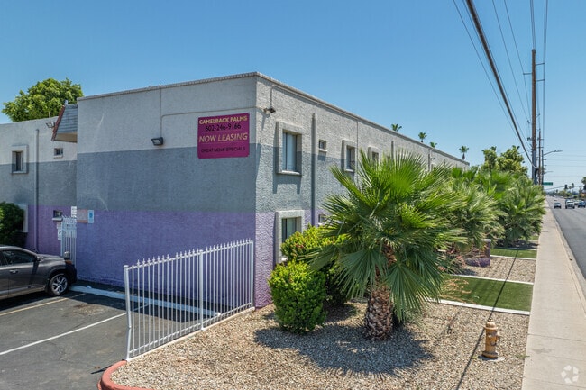 Camelback Palms