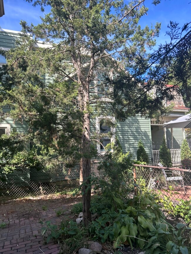 Fenced backyard - 118 E Kossuth St