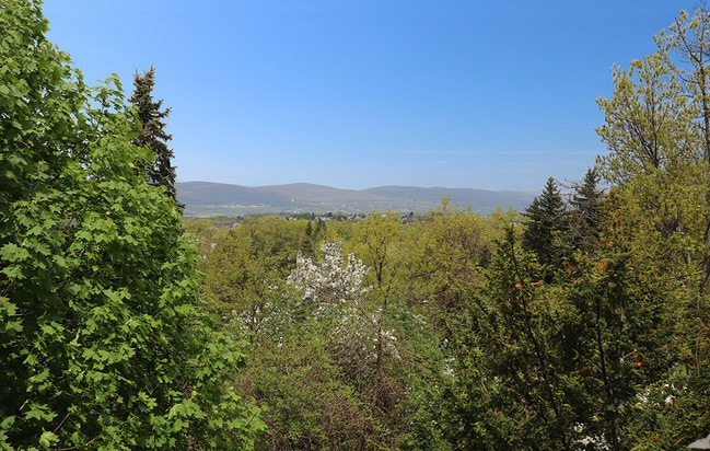 Mountain Lake Apartments
