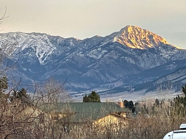 Building Photo - 12 Cloninger Ln