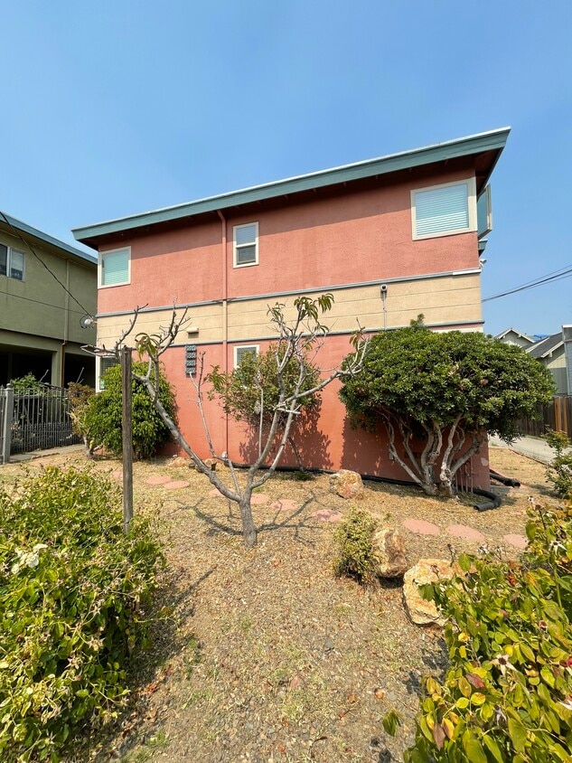 Front Yard - 2936 Brookdale Ave (Oakland, CA)