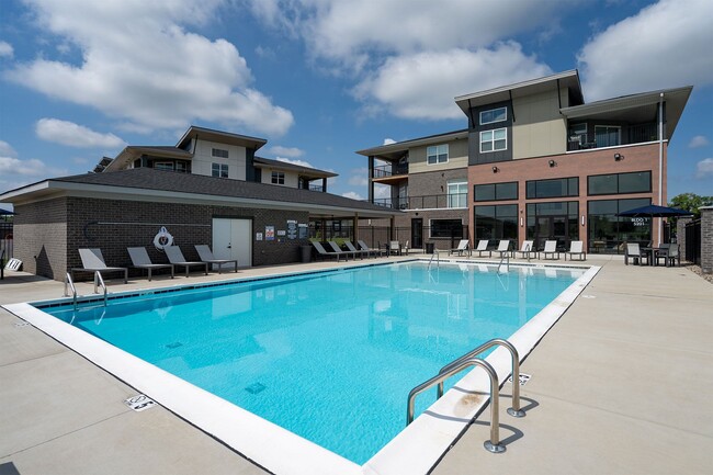 Swimming Pool and Loungers