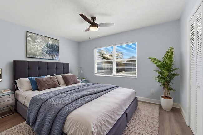 Photo - Apollo Landings