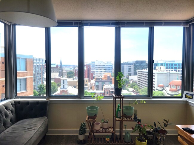 Living room windows - 555 Massachusetts Ave NW Unidad 1218 Rental