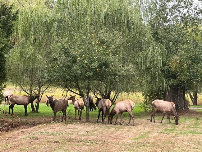 Photo - 7728 Alpine Ln