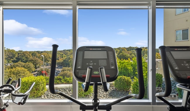 Maximize your potential in your brand-new fitness center