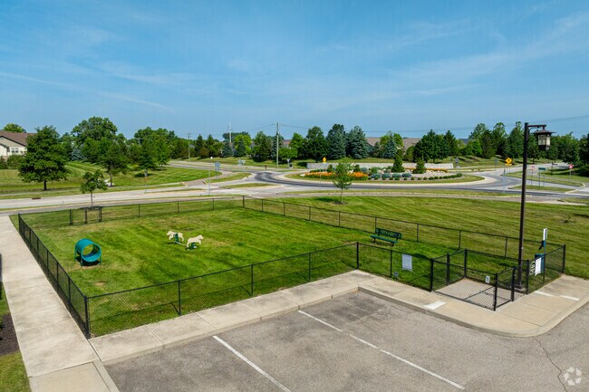 Dog Park
