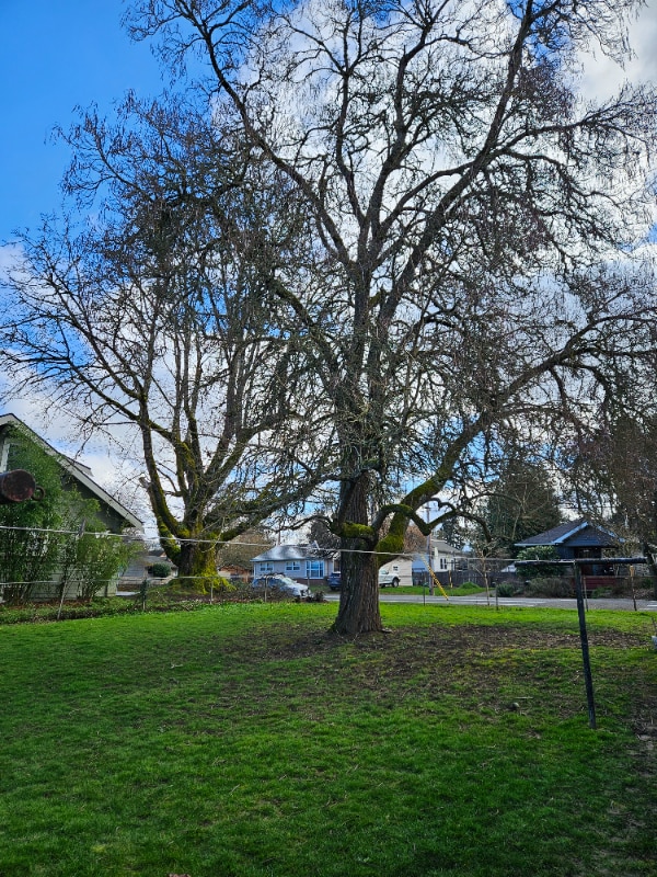 Photo - 9206-9210 N John Ave Unidad 9210 N. John