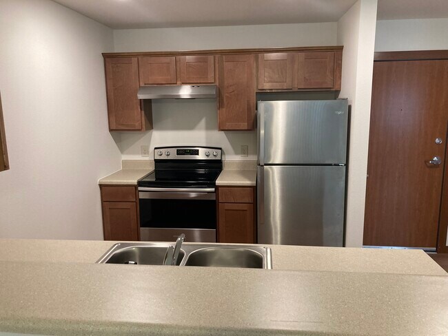Kitchen Stainless Steel Appliances