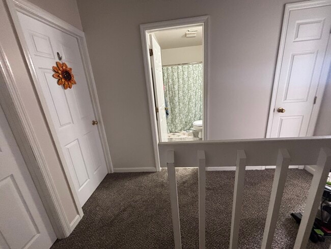 Photo - Phoenix on Court