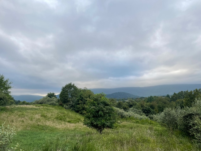 Photo - 1015 Heathercroft Cir Unidad 200