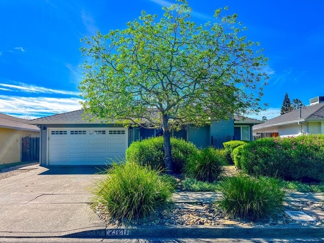 Building Photo - Beautiful Three Bedroom North Napa Home