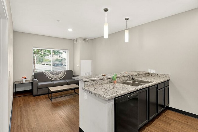 Apartment Kitchen and Fully-Furnished Living Room