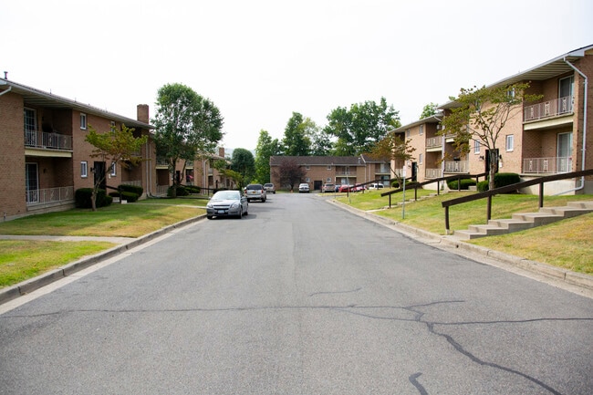 Photo - Squire Colony