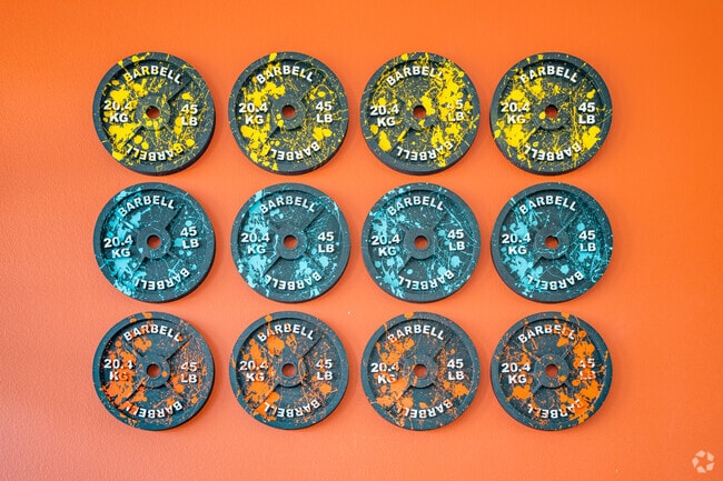 Gimnasio - Sol38 by Liv TIC