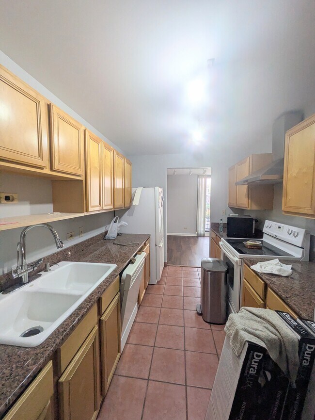 70 W Huron St Unit 802