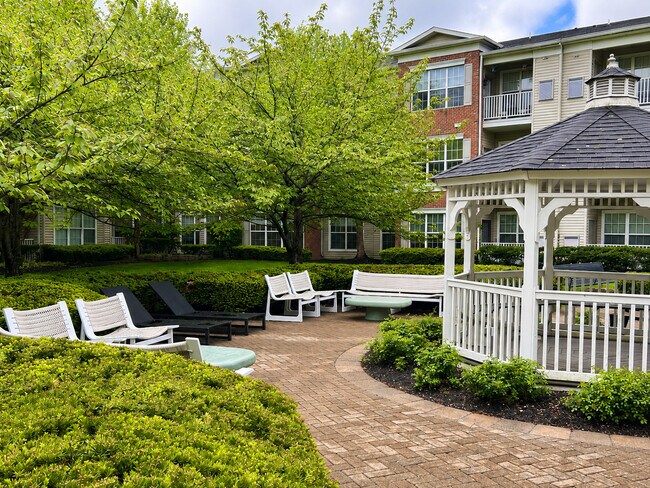 Gazebo and Outdoor lounge