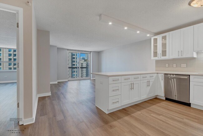 545 N Dearborn St Unit 2503