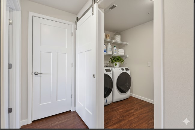 Photo - Clover On Cascade