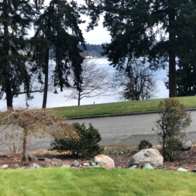 Photo - 4035 51st Ave S