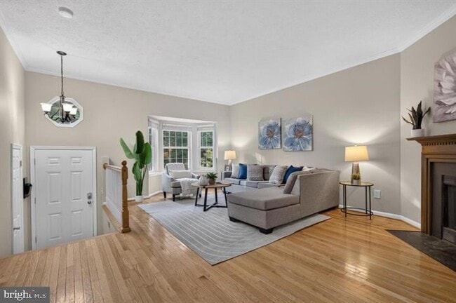 3609 Buckeye Ct