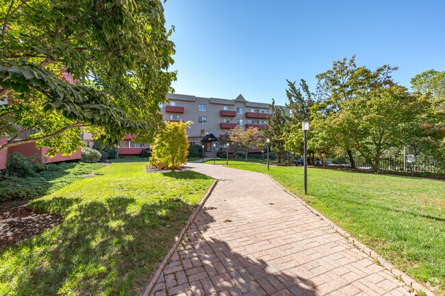 93 Richards Ave - Courtyard