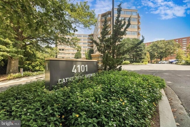 Building Photo - 4101 Cathedral Ave NW Unit 917 Rental