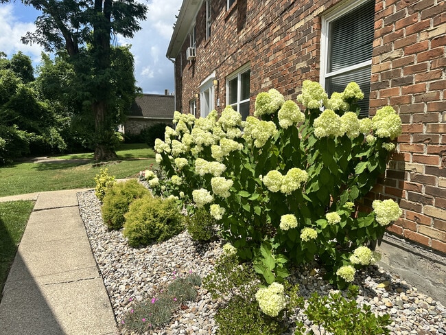 Le Blanc Court