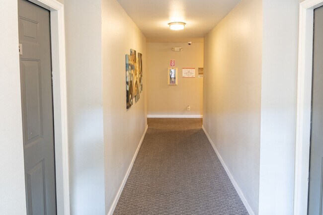 Photo - Convenient Updated Studio on Capitol Hill Unidad N103