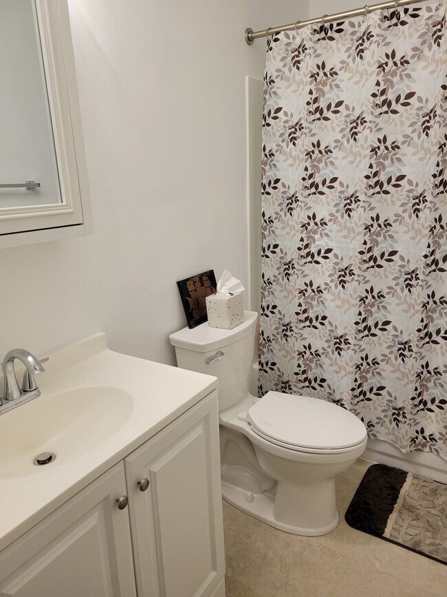 Bath-1 - 112 Dodge St Unidad Lower Apartment