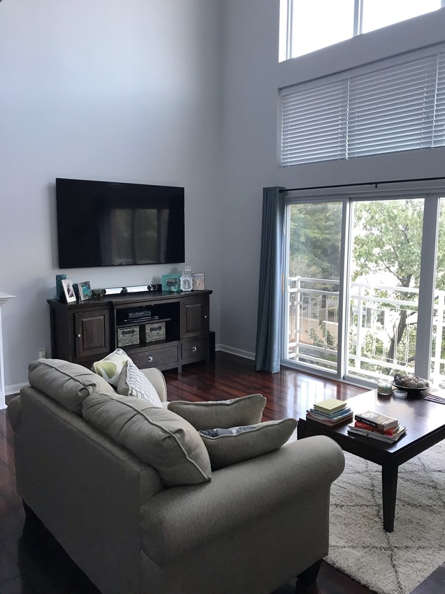 Downstairs Living Room - 616 Raphael Place Condo Unit 0