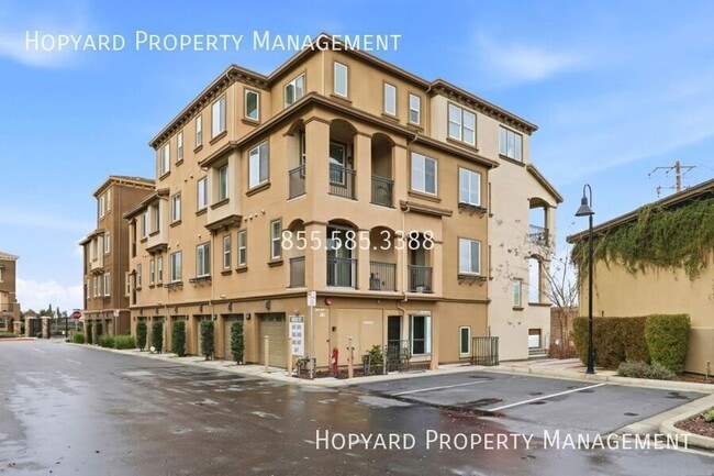 Photo - 5663 Daylily St