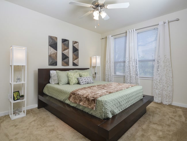 Photo - The Starling