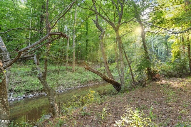 518 Morgan Creek Rd