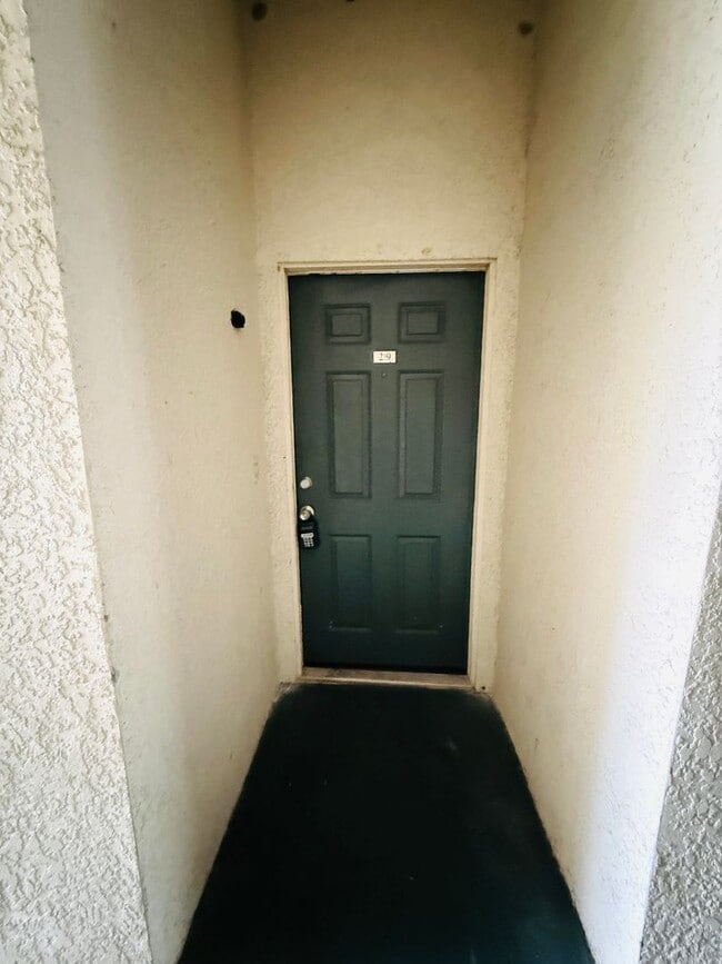 Photo - Newly painted Two Bedroom, Two Bathroom For Rent in New Tampa Unit 219