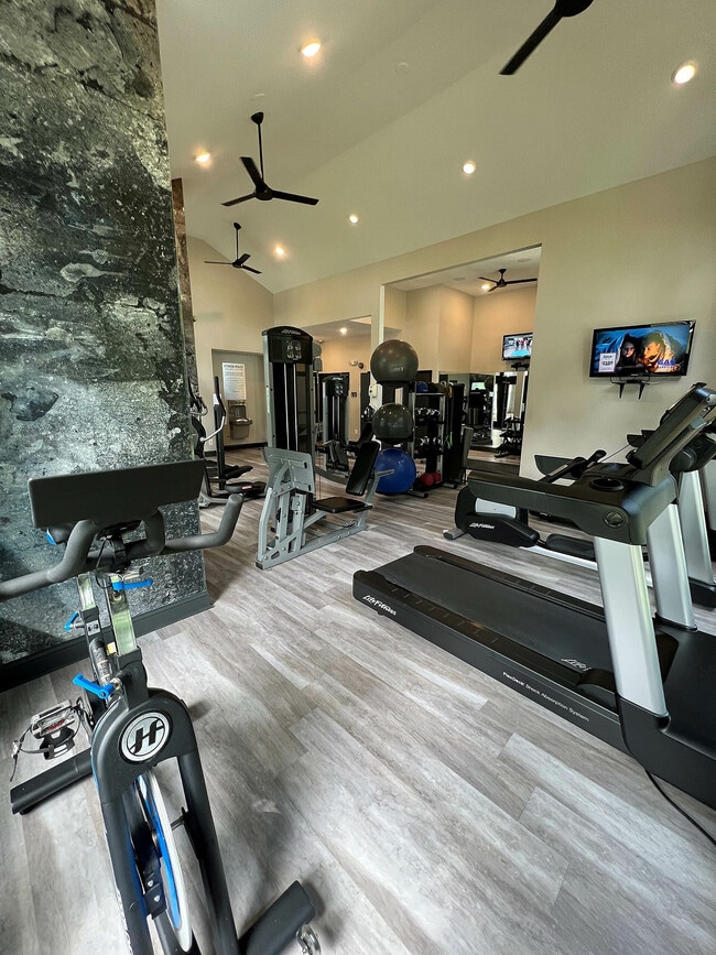 Gym 1 (1)