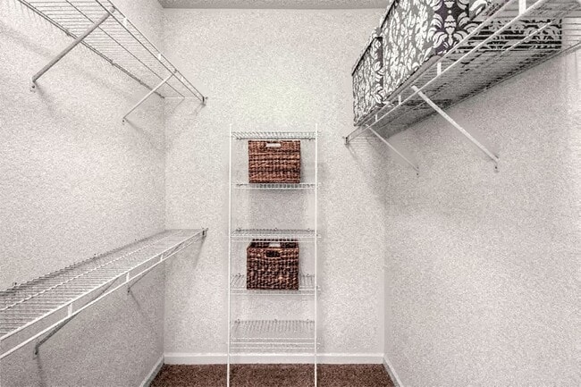 Expansive walk-in closets with shelves
