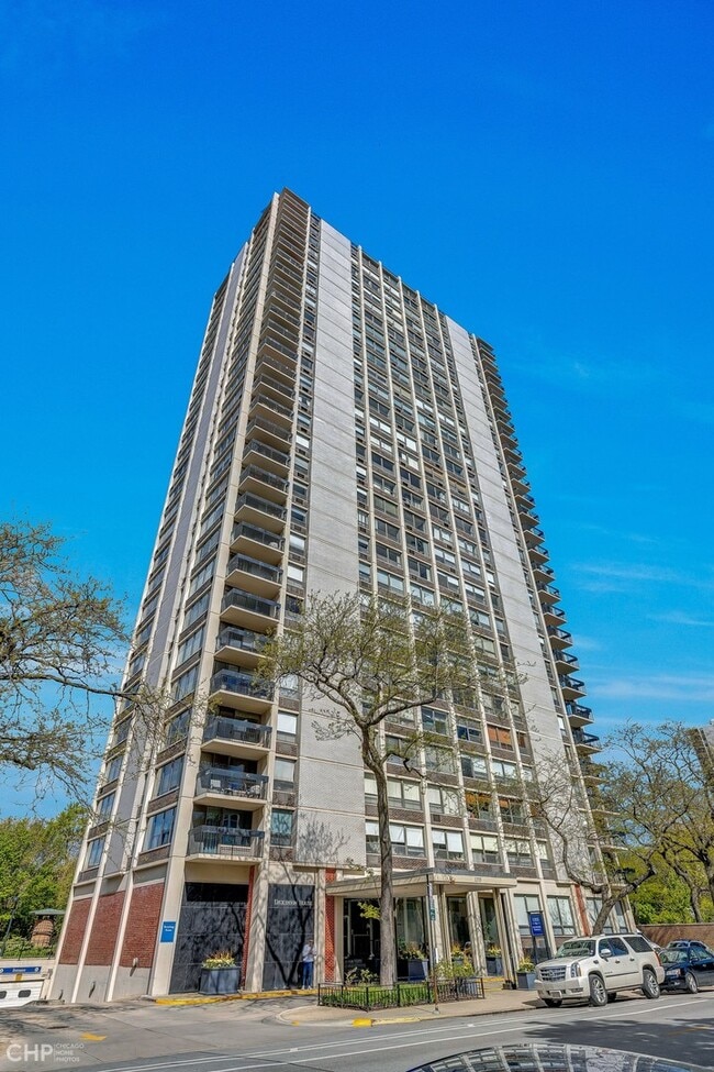 Building Photo - 1355 N Sandburg Terrace Unit 2005