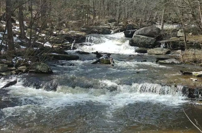 Photo - 60 Ruth Way Rd