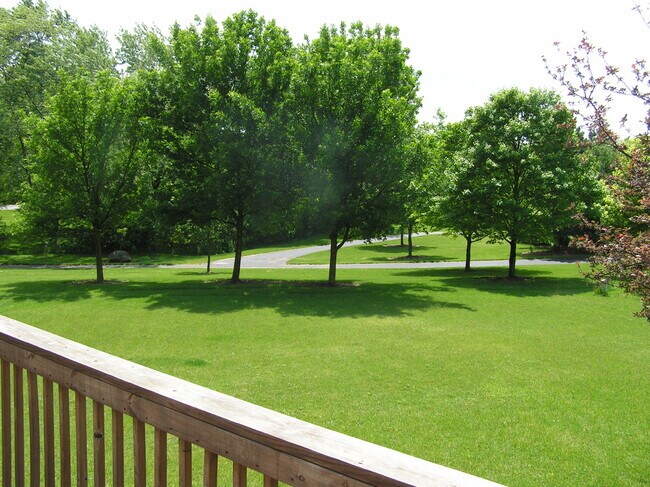 Back Yard - 6355 Valley Stream Dr