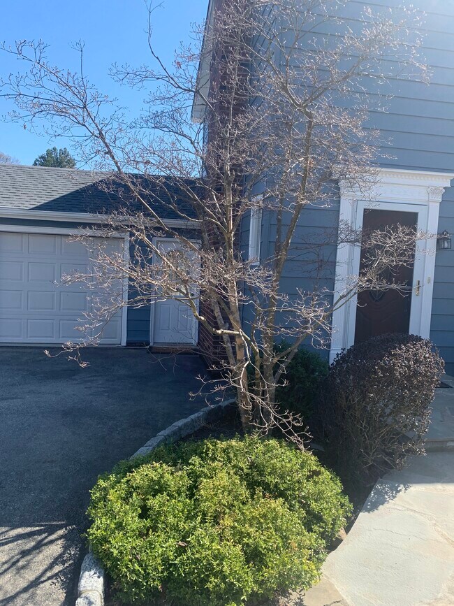 Photo - 296 Lafayette Ave