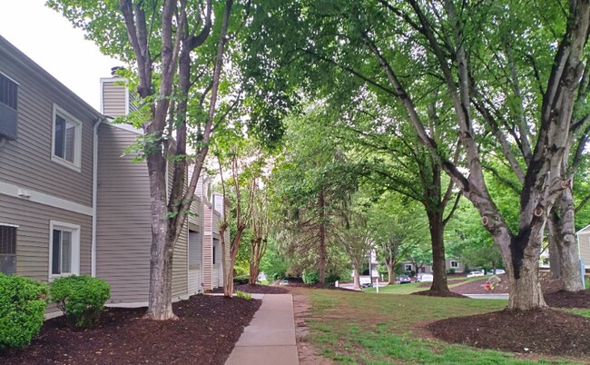 Photo - 600 Reusens Rd Unidad N150