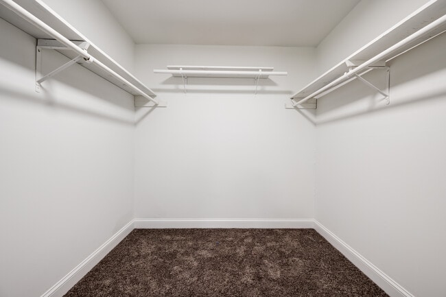 Vestidor - 18 Signor St