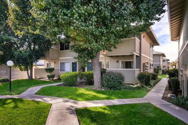 Oasis Apartments