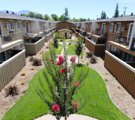 Mountain View Apartments
