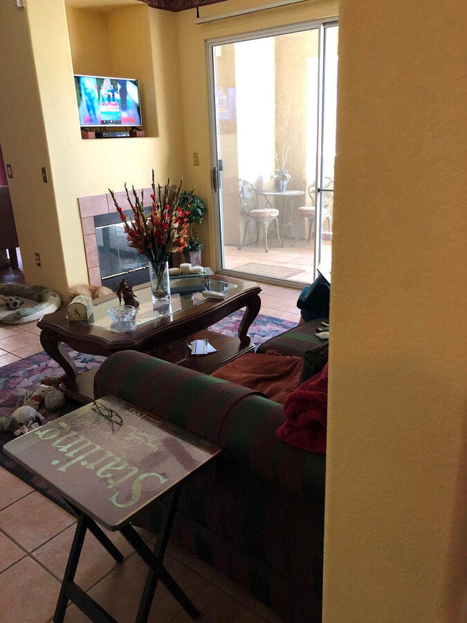 Sala de estar y patio - 1012 Domnus Ln Unidad 102